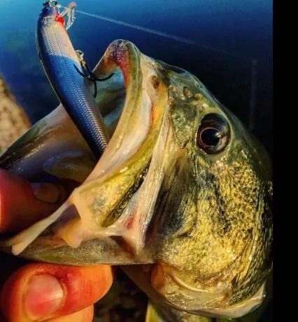 10Pcs Hard Minnow Fishing Lures