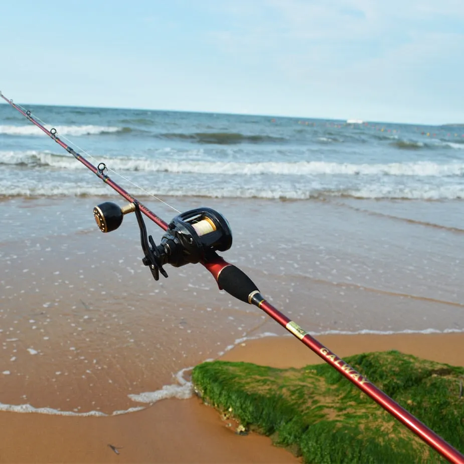 1.68m 1.8m 1.98m Light Jigging Squid Fishing Rod Spinning Lure Max 120g 2 Sections M Titanium Tip