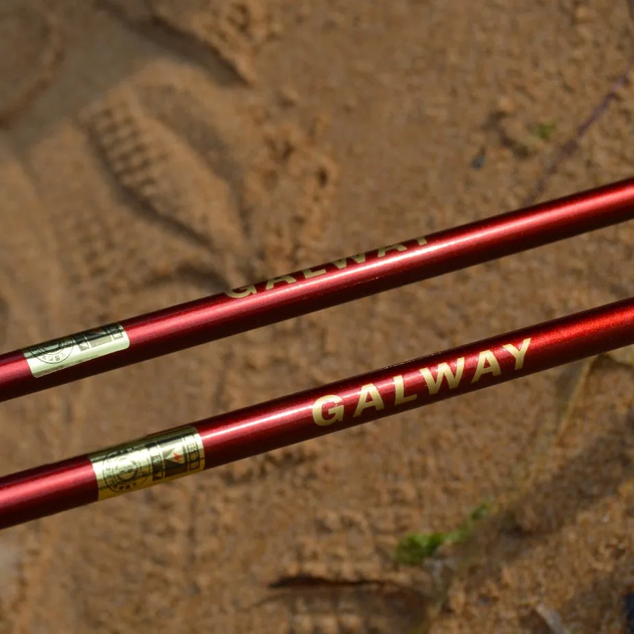 1.68m 1.8m 1.98m Light Jigging Squid Fishing Rod Spinning Lure Max 120g 2 Sections M Titanium Tip