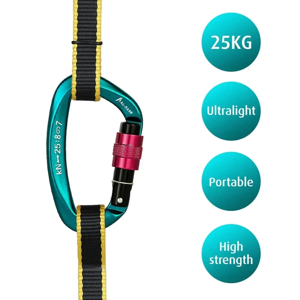 25KN Professional Climbing Carabiner Screw Locking Gate Carabiner Heavy Duty D-shape Buckle D-ring Carabiner for Climbing