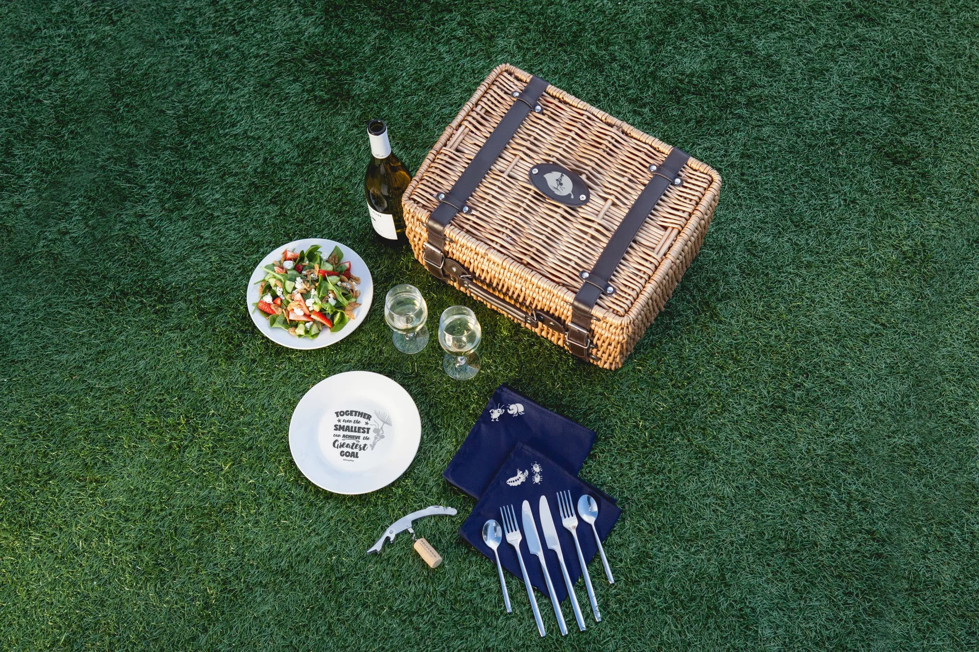 A Bug's Life - Champion Picnic Basket