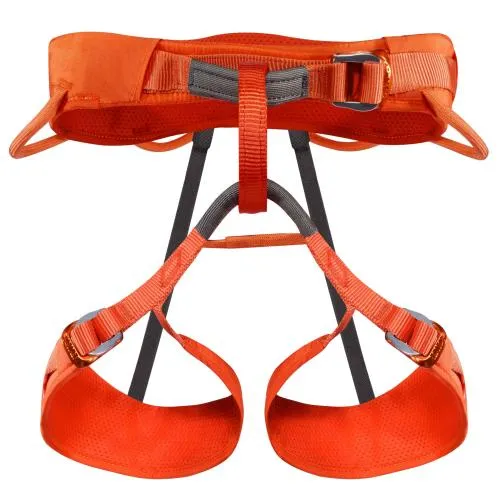 Airo B3 Harness