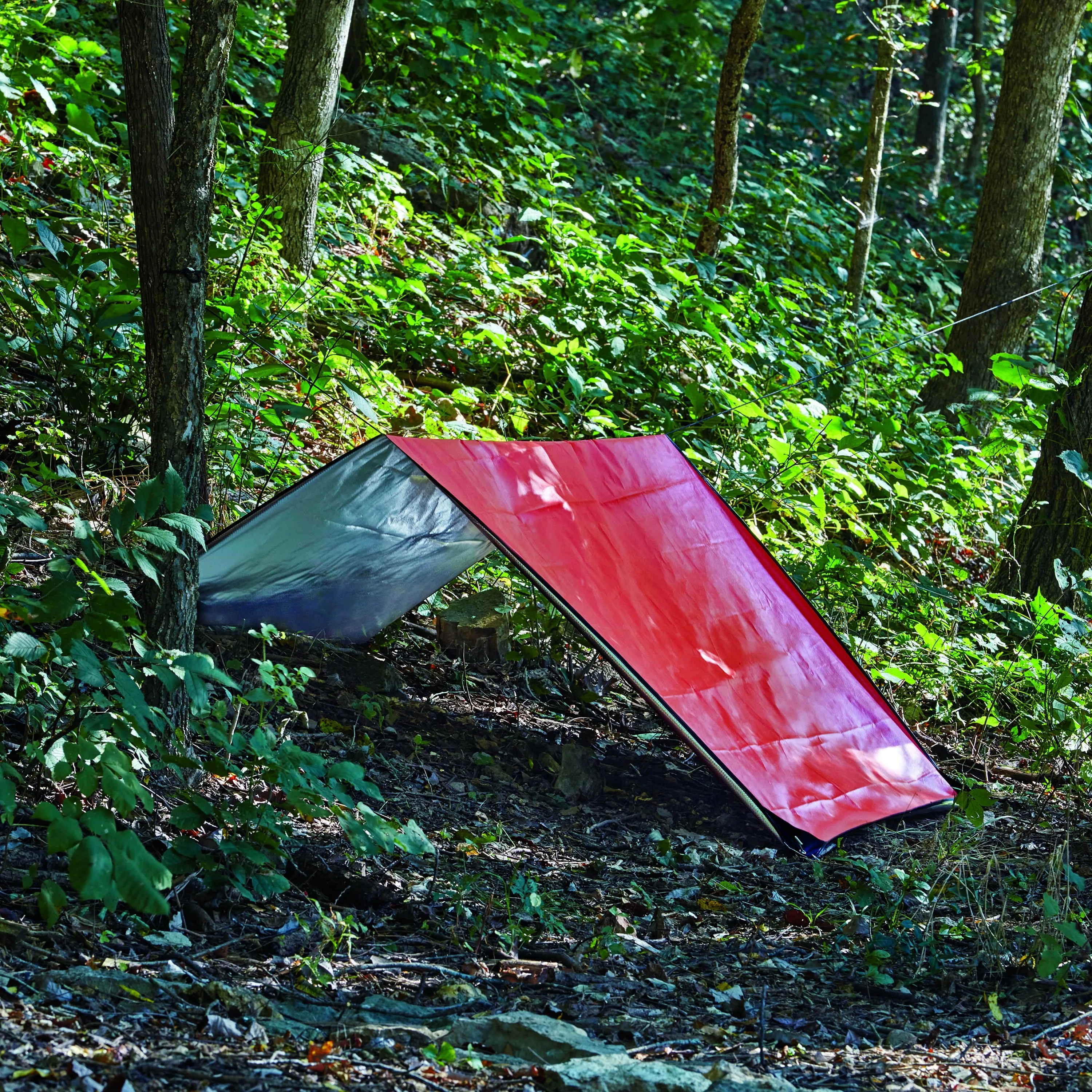 All-Purpose 82.3" x 58.7" Survival Blanket - Ideal for Outdoor Adventures