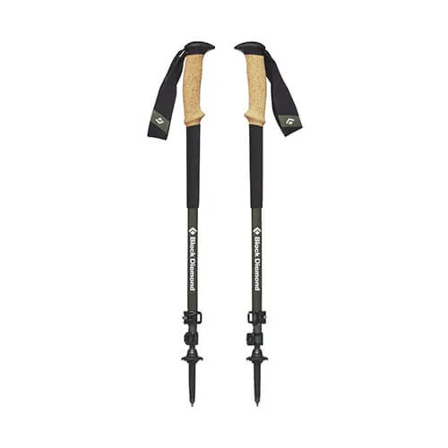 Alpine Carbon Cork S19 Trekking Poles