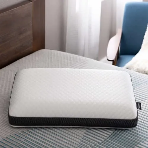 Beautyrest Dualcool Carbon Fiber Memory Foam Pillow With Aquacool Technology