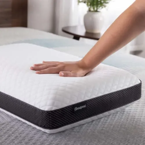 Beautyrest Dualcool Carbon Fiber Memory Foam Pillow With Aquacool Technology