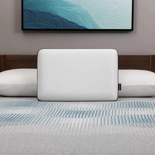 Beautyrest Dualcool Carbon Fiber Memory Foam Pillow With Aquacool Technology