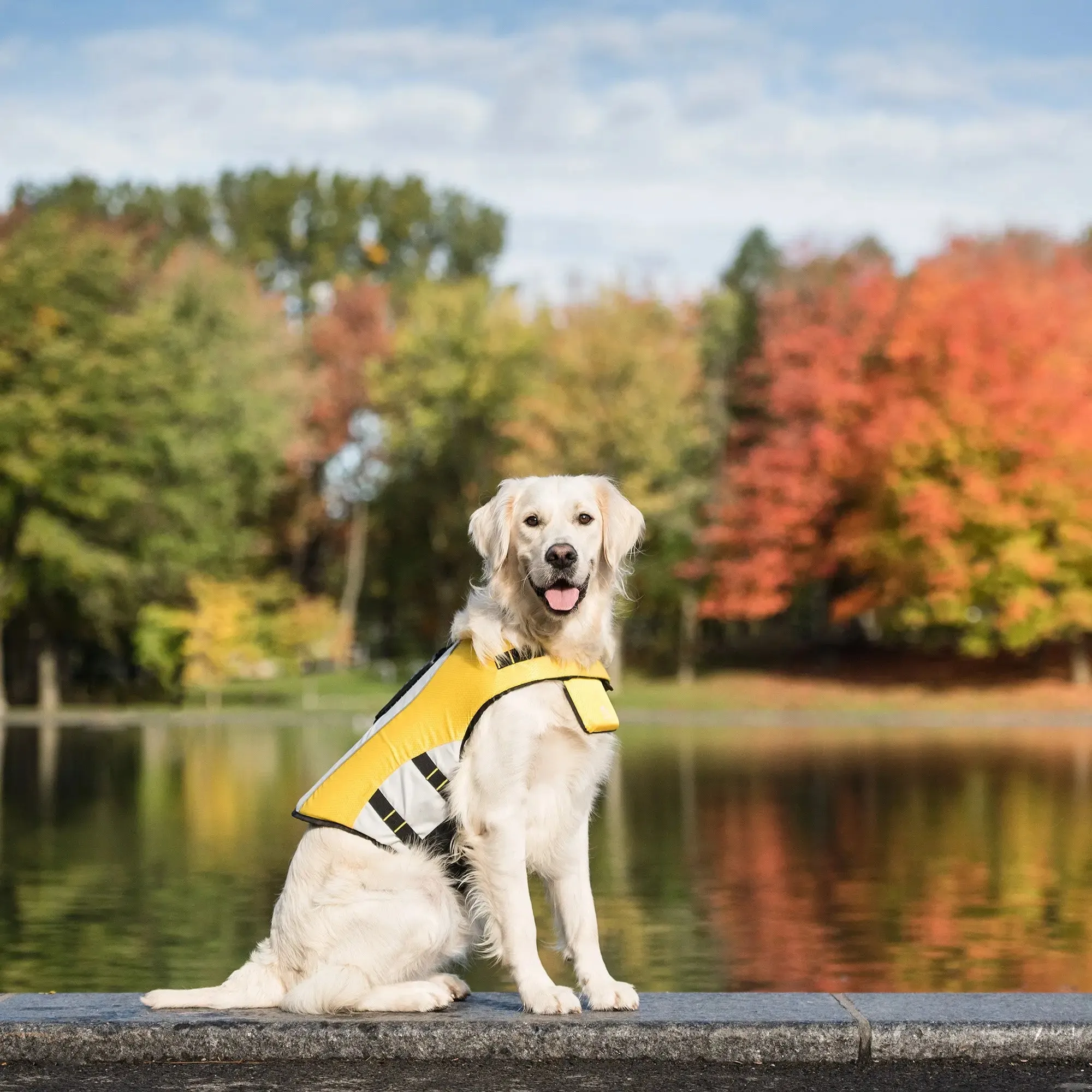 Dog Life Vest | Yellow