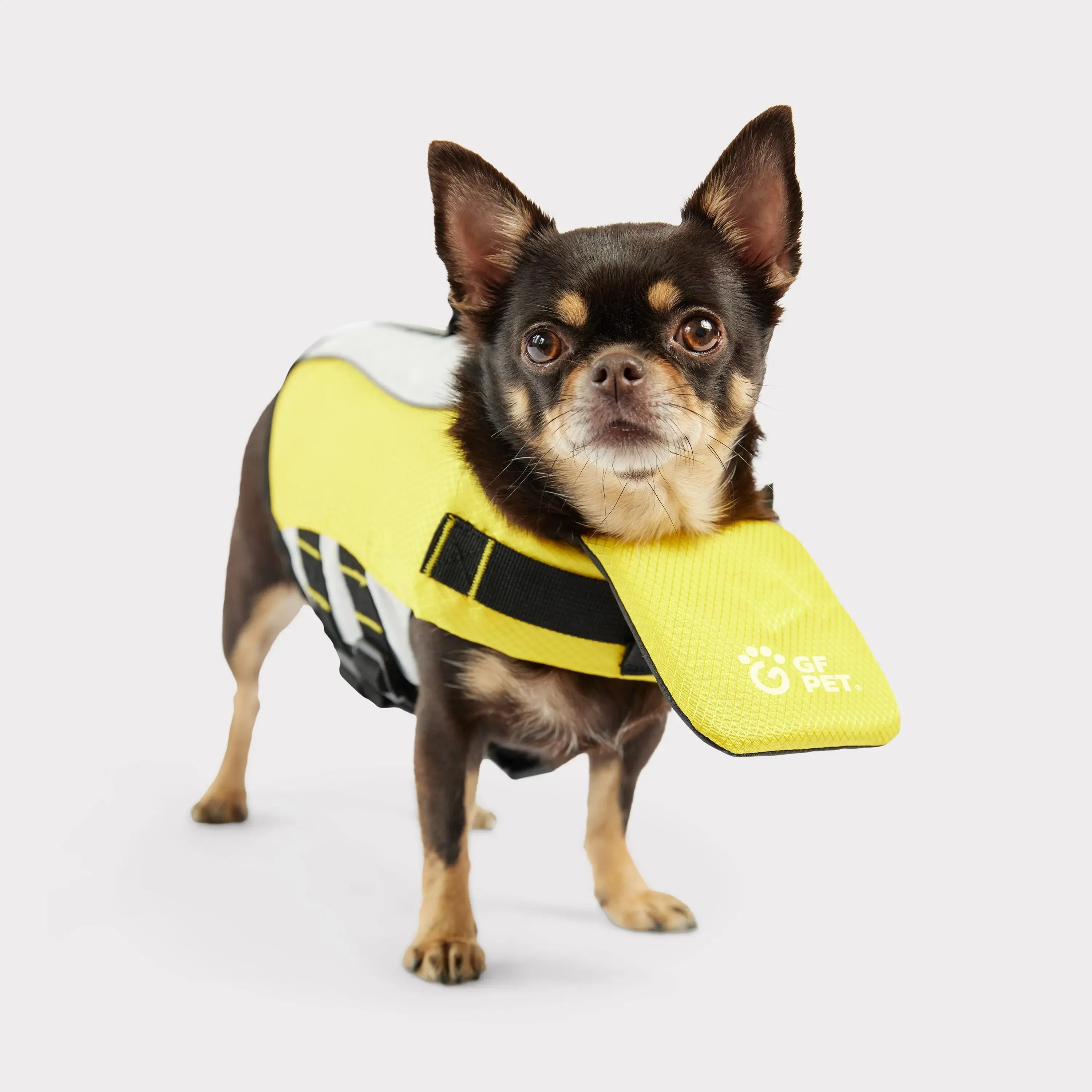 Dog Life Vest | Yellow