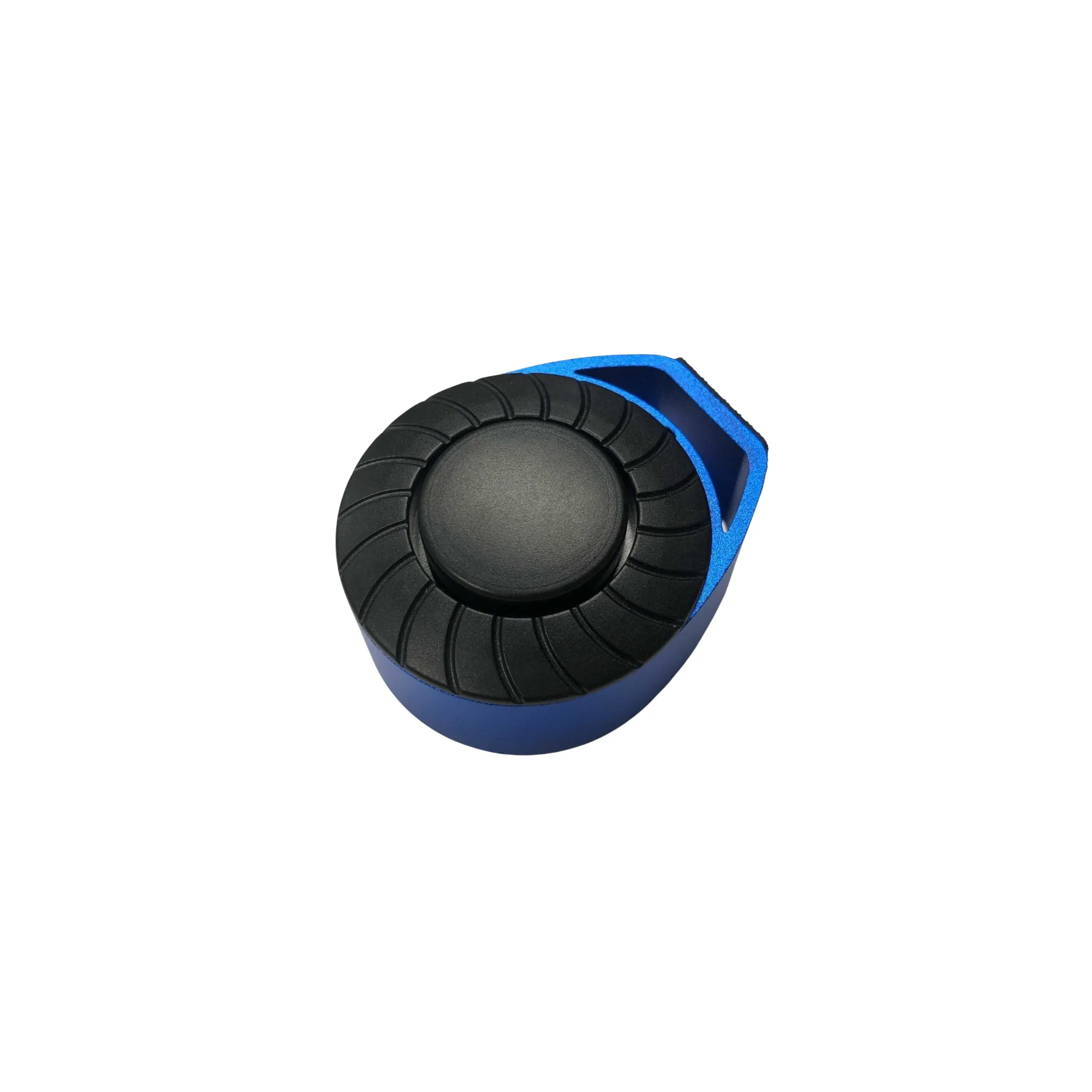Electric Horn