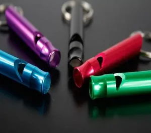 Emergency whistle keychain