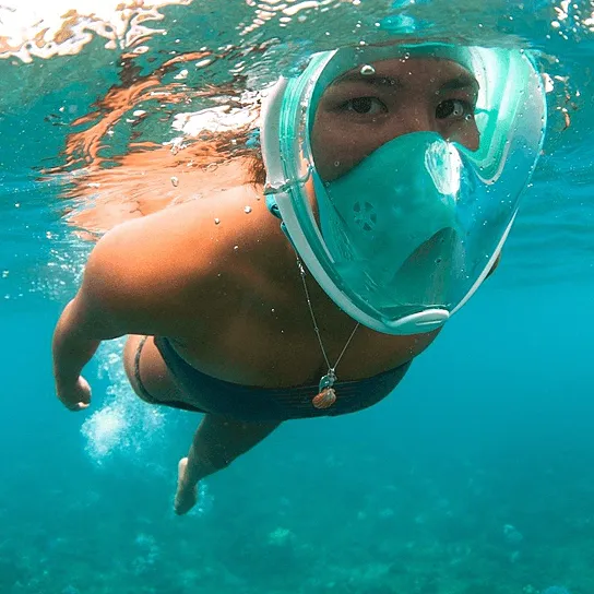 Full Face Snorkel Mask