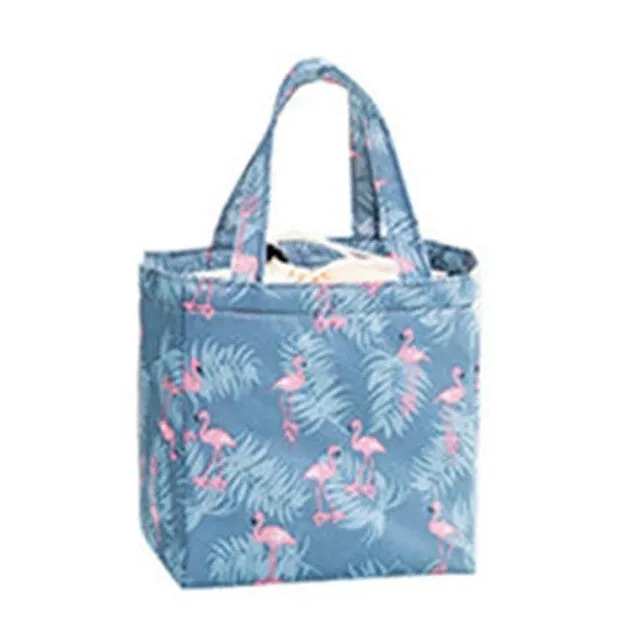 Insulated Thermal Cooler Bags Picnic Food Box