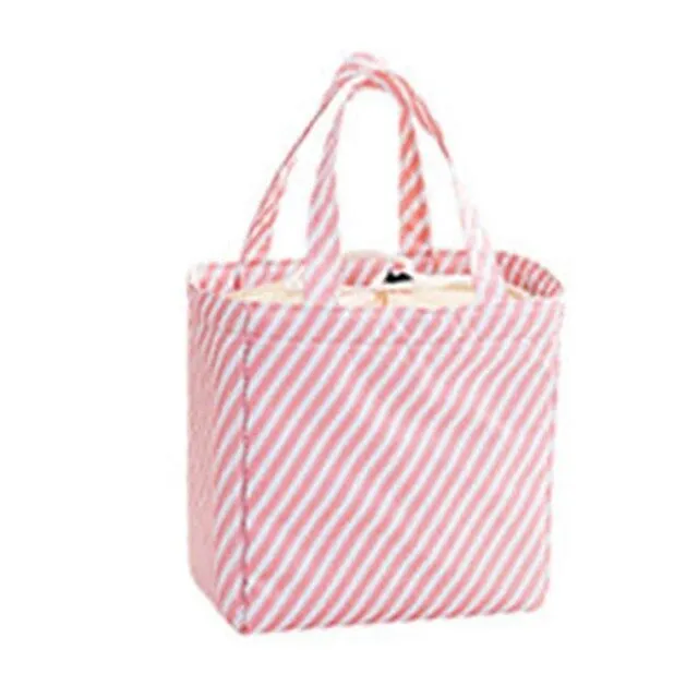 Insulated Thermal Cooler Bags Picnic Food Box