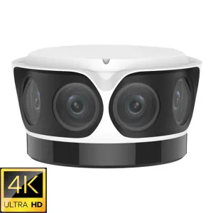 IPC8542ER5-DUP / 4K Starlight OmniView Network Camera