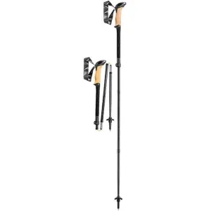 Leki Black Series FX Carbon