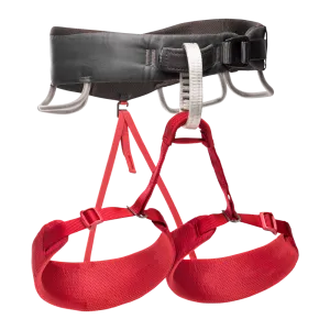 Momentum Harness - Women