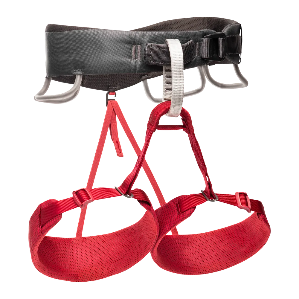Momentum Harness - Women