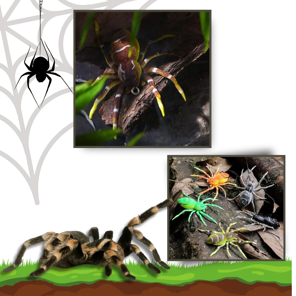 Natural Movement Spider Lures