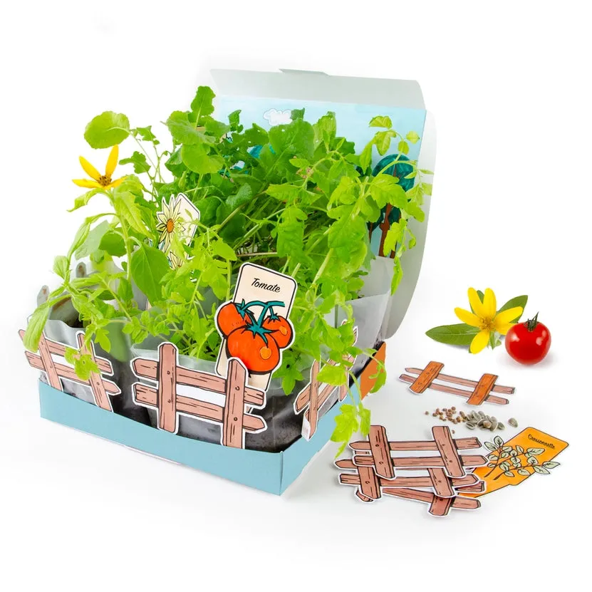 Organic Mini Vegetable Garden Set