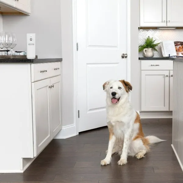 PetSafe SSSCAT Automatic Spray Pet Deterrent