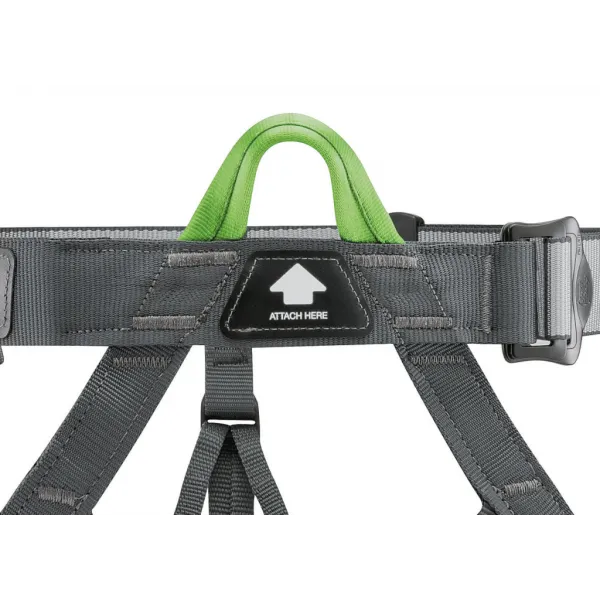 Petzl Pandion Harness