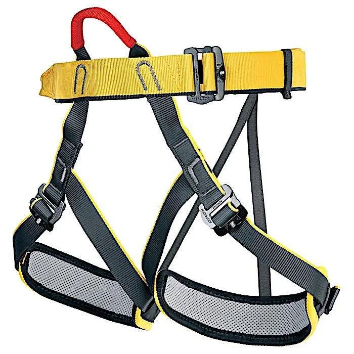 Top Padded Harness