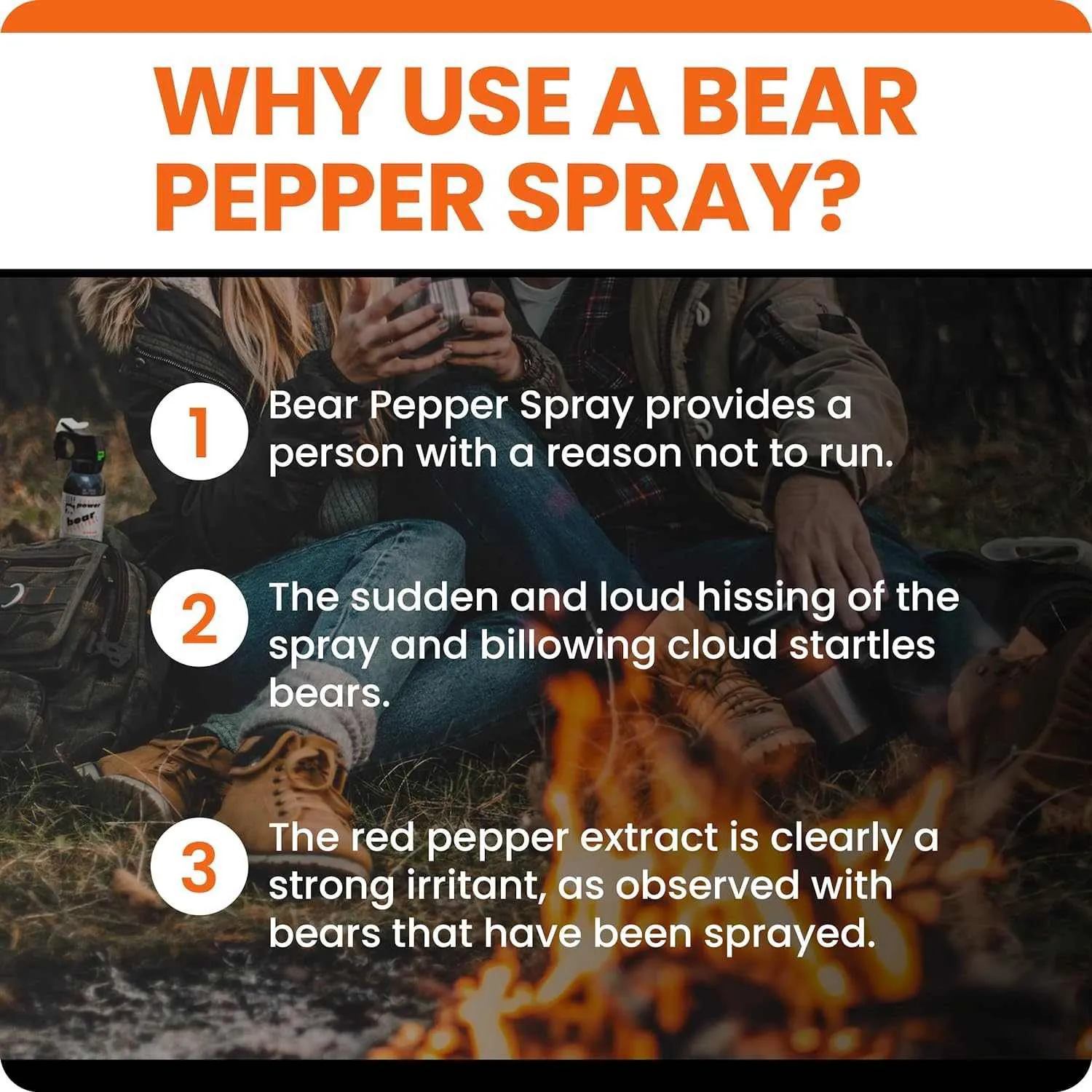 UDAP BEAR SPRAY