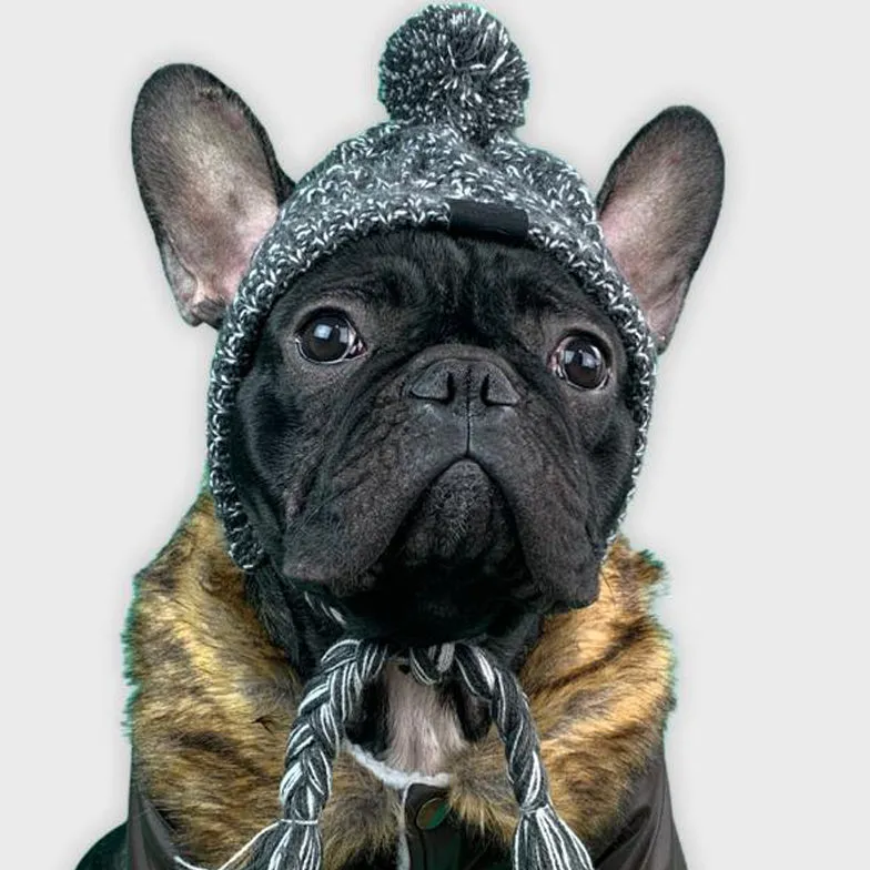 Windproof Woolen Winter Cap for French Bulldog (WS312)